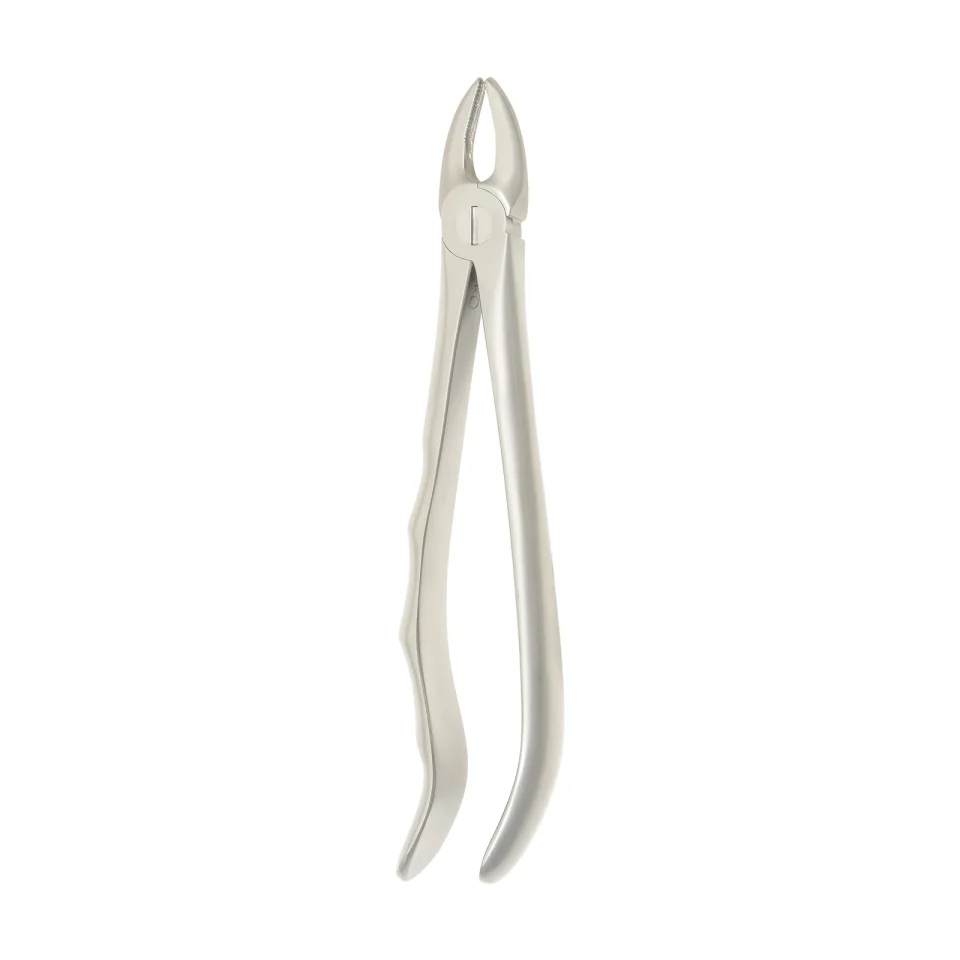 Extraction Forceps 1102B