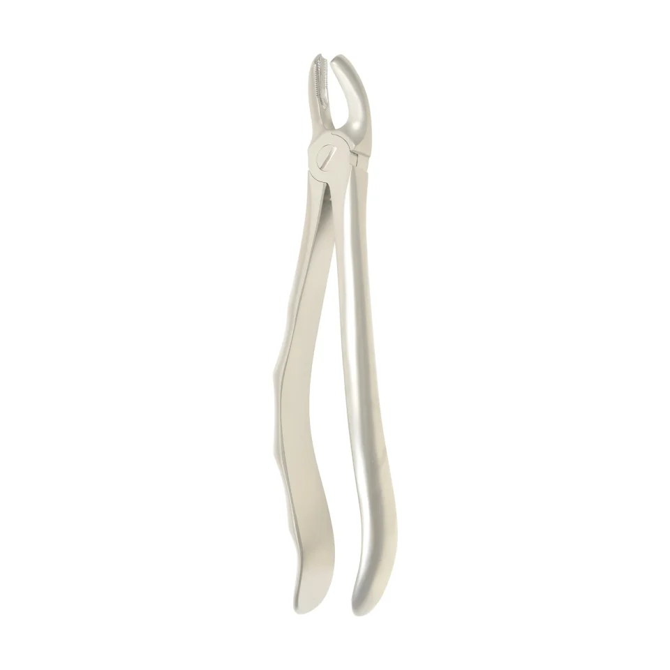 Extraction Forceps 1104B