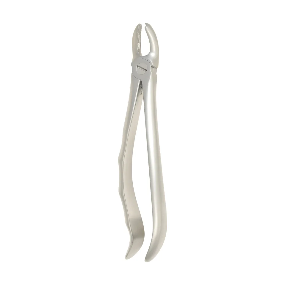 Extraction Forceps 1105B