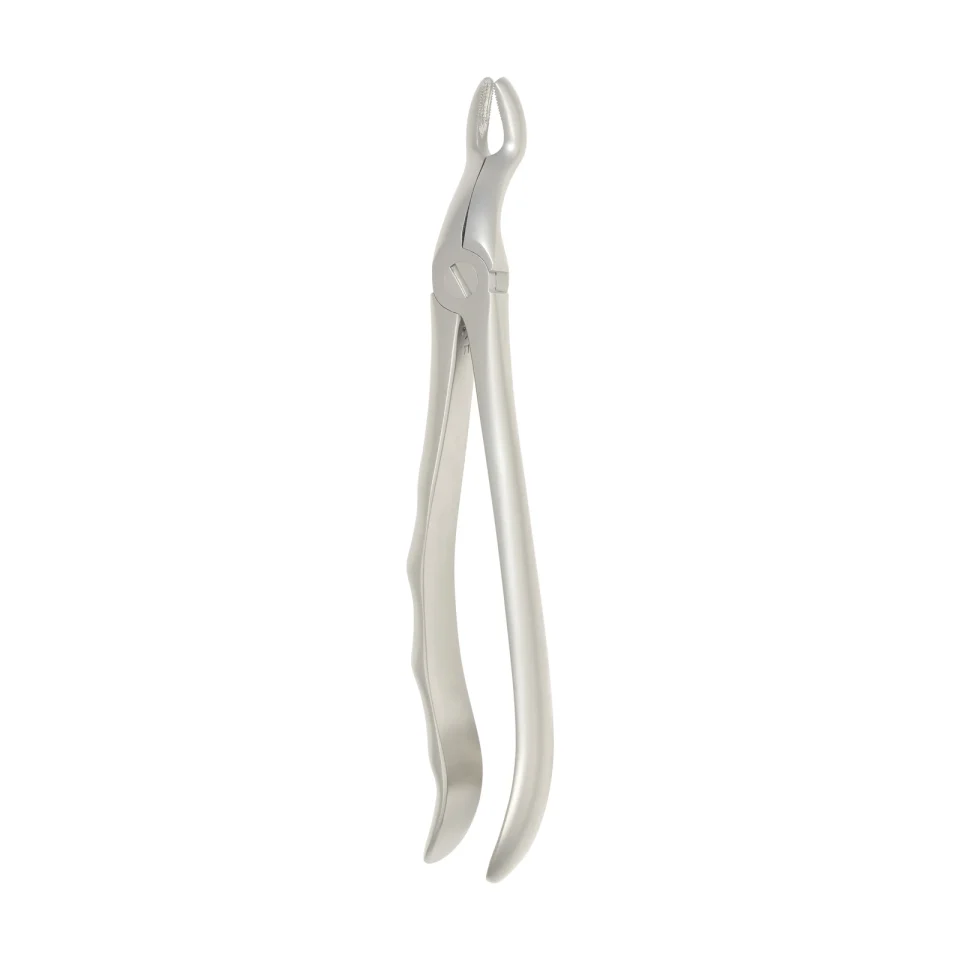 Extraction Forceps 1107B