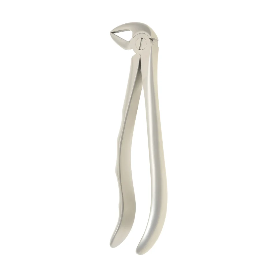 Extraction Forceps 1110B