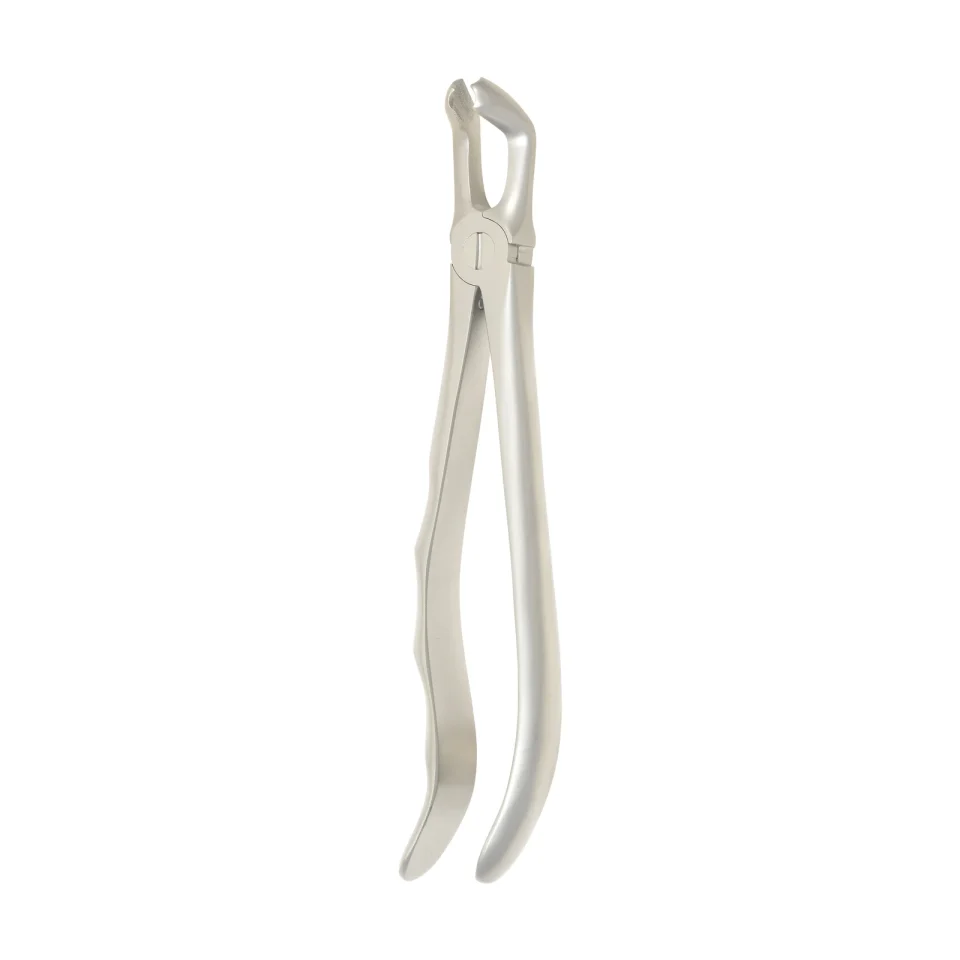 Extraction Forceps 1111B