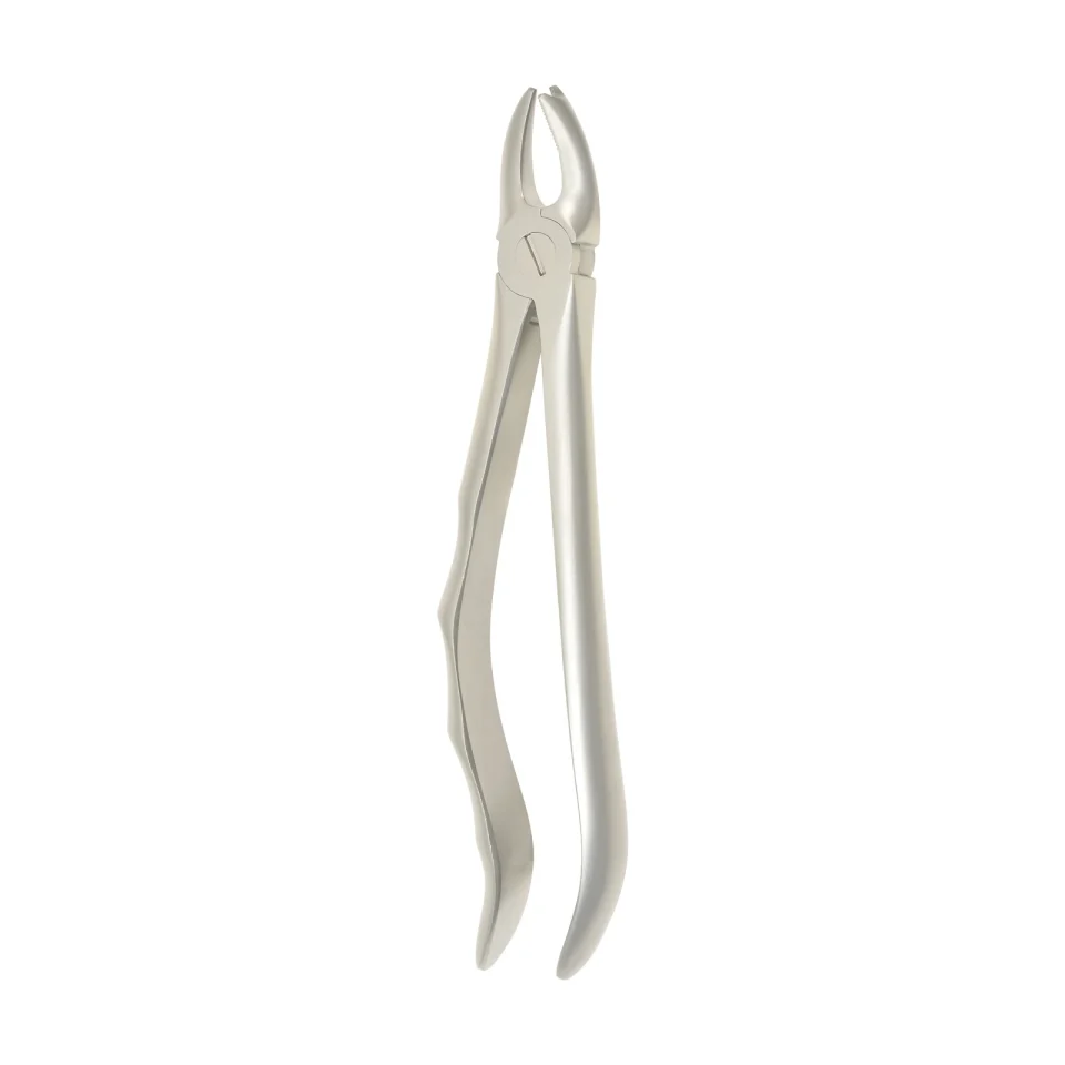 Extraction Forceps 1114B